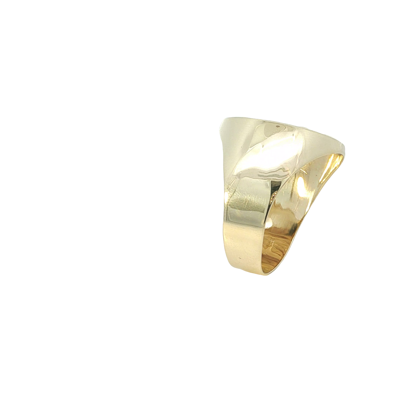 Siegelring "Löwenkopf" Gelbgold 333 / 8 Karat Gr. 62 Nr. 7163